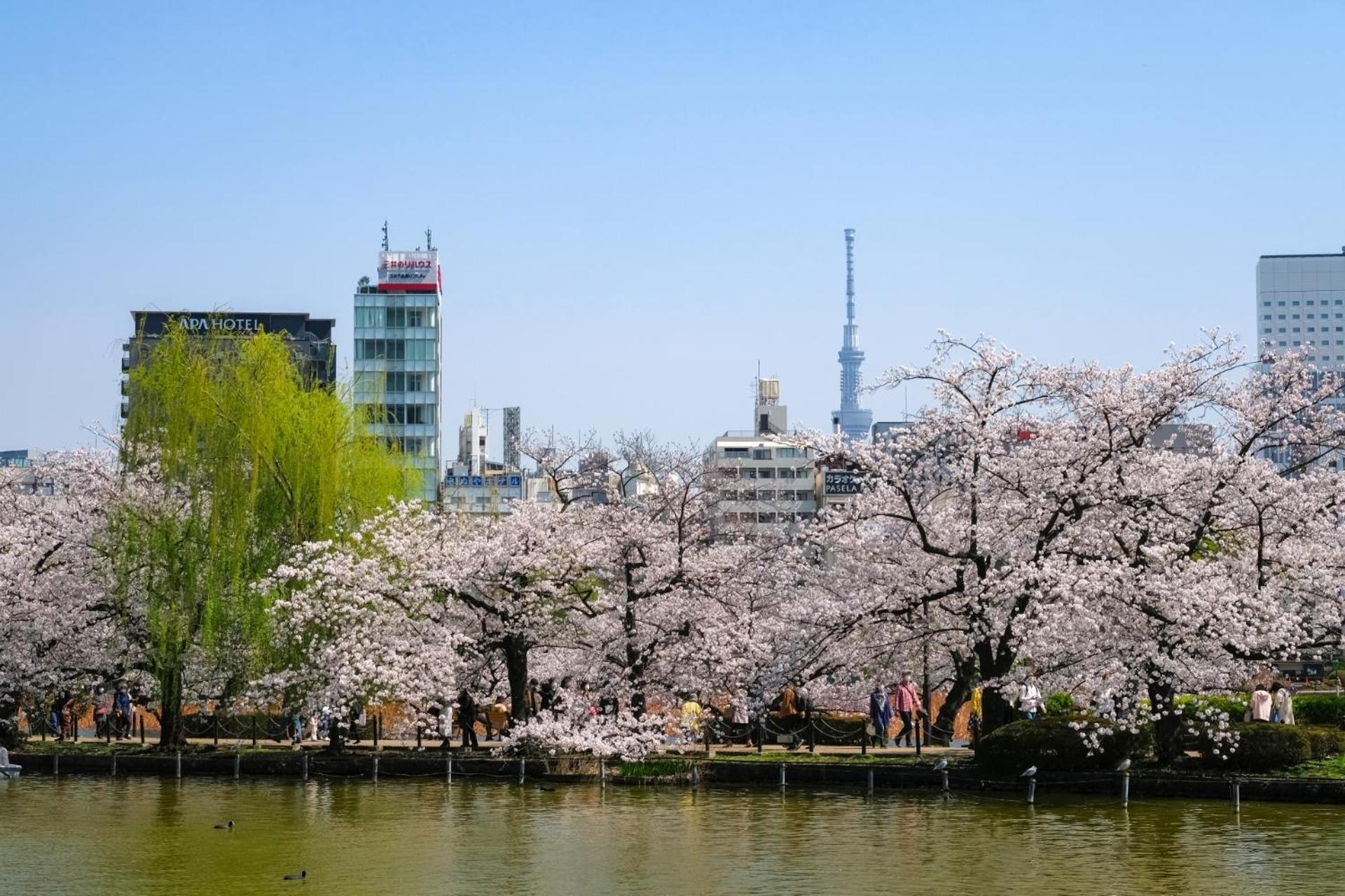 Stayme The Hotel Ueno Tokyo Eksteriør billede